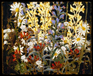 Wildflowers